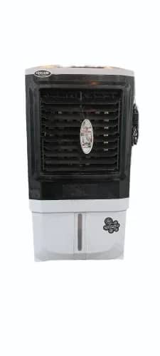 Cooler Tanishq Lion 12