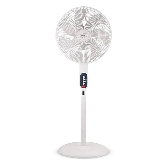 Farrata Fan Pigeon Fantastic 75