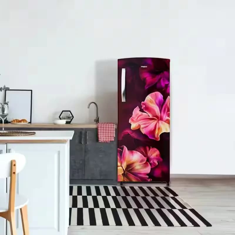 Whirlpool 192 L Direct cool 5 Star Direct cool Single Door Refrigerator Wine (215 IMPRO PRM 5S INV WINE SILK-Z 73160) – image 3