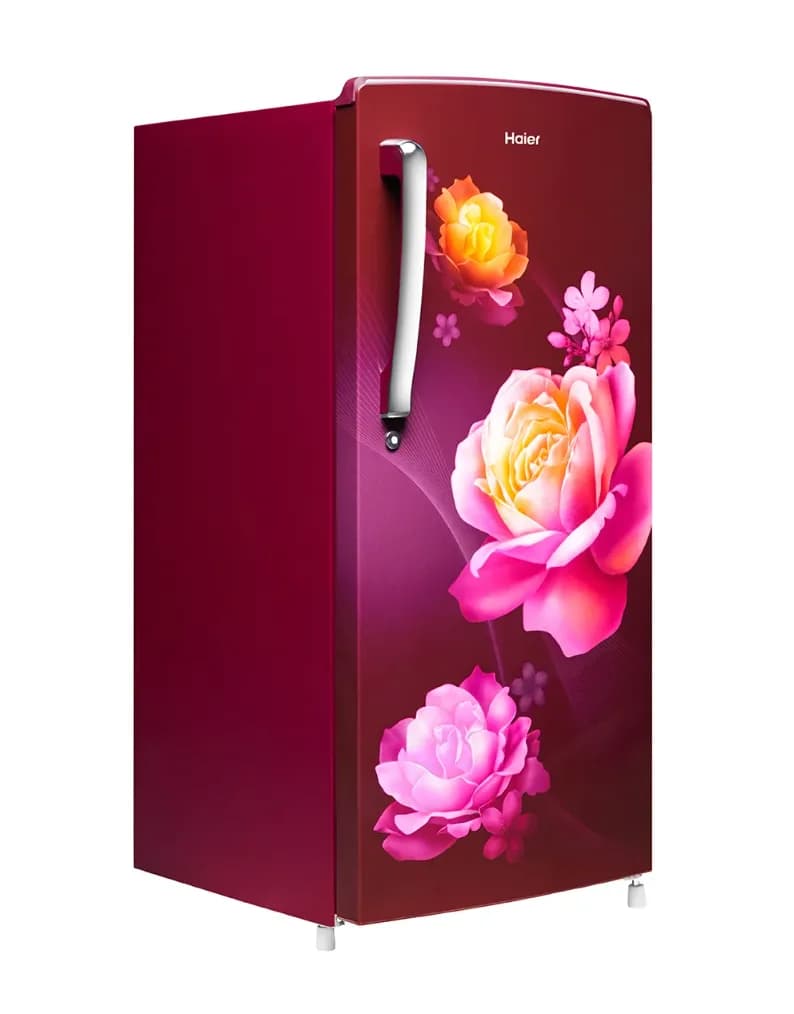 Haier 185 L Direct Cool Single Door 1 Star Refrigerator HRD-2061SKC-N – image 2